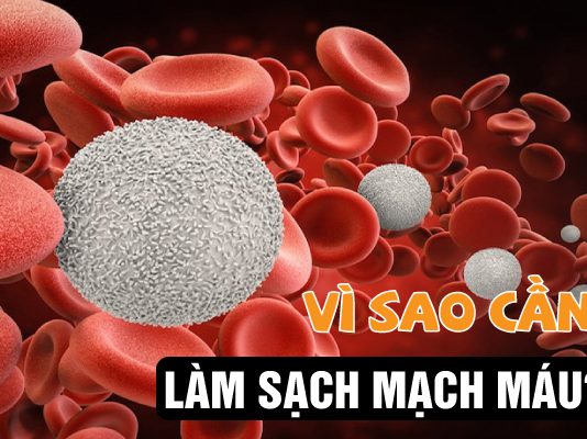 Vì sao cần làm sạch mạch máu?