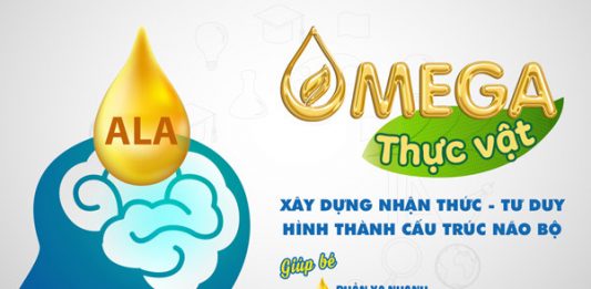 Omega-3 thực vật và những điều cần biết