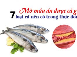 7 loại cá giàu Omega-3 cải thiện mỡ máu hiệu quả