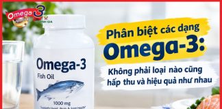 Phân biệt các dạng Omega-3: Không phải loại nào cũng hấp thu và hiệu quả như nhau Phân biệt các dạng Omega-3: Không phải loại nào cũng hấp thu và hiệu quả như nhau